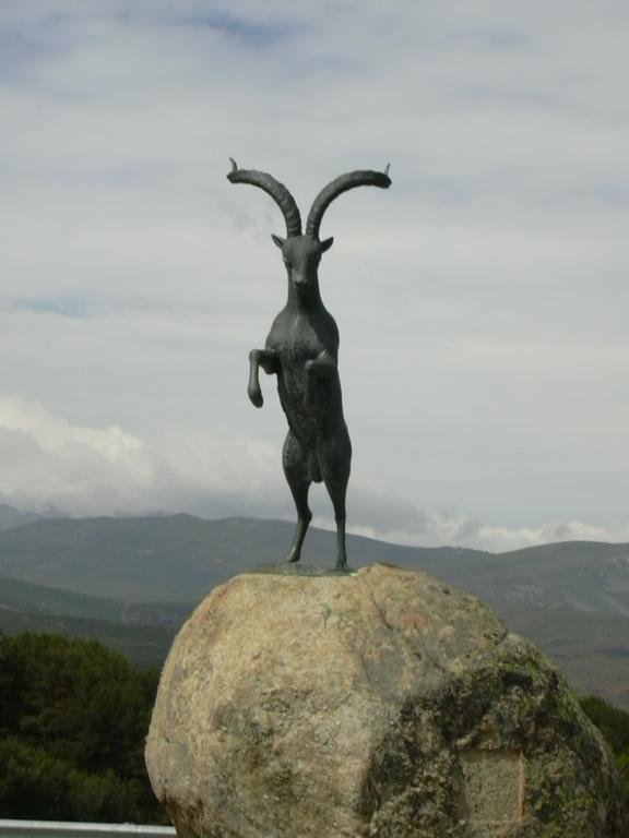 Los Navazuelos Hoyos del Espino Esterno foto